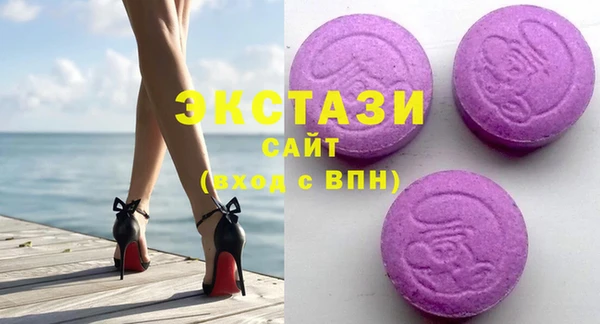 стаф Ельня