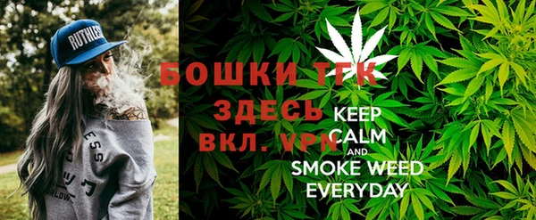 стаф Ельня