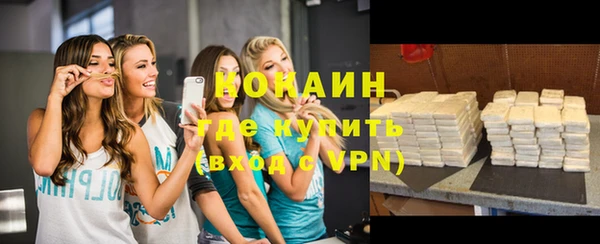стаф Ельня