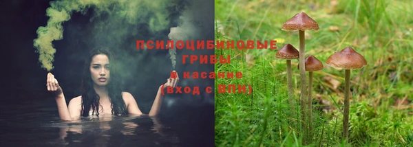 метадон Елабуга