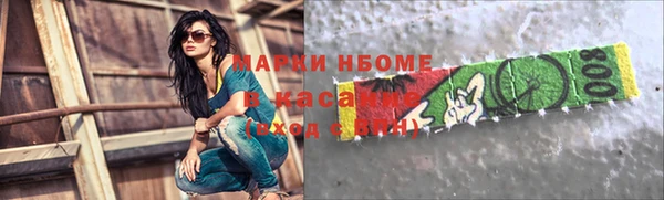 стаф Ельня