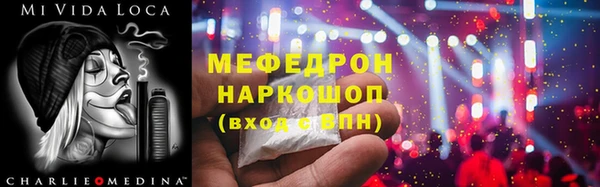 стаф Ельня