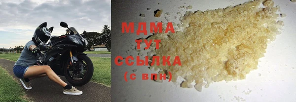 стаф Ельня