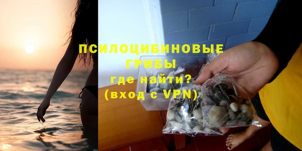 а пвп мука Елизово