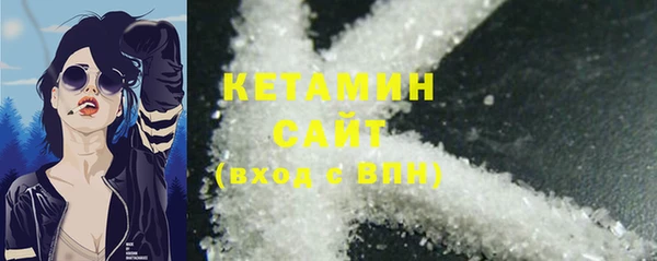 стаф Ельня