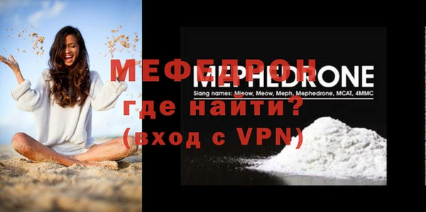 стаф Ельня