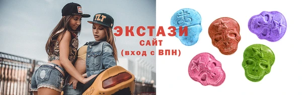 стаф Ельня