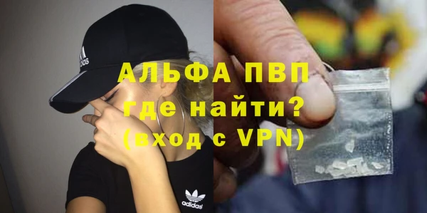 стаф Ельня