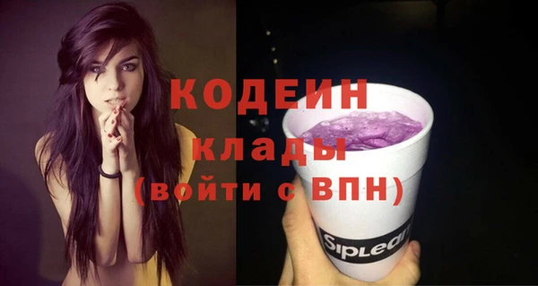 стаф Ельня
