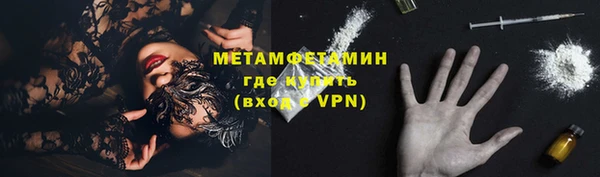 стаф Ельня