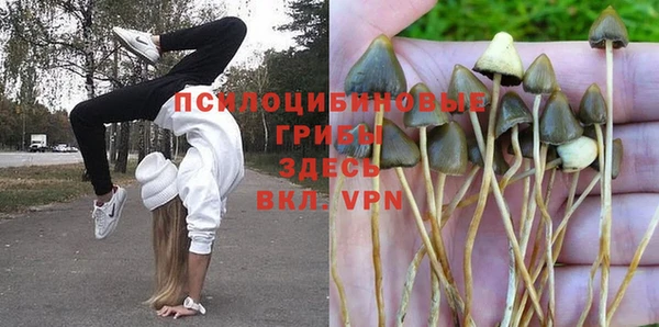 метадон Елабуга