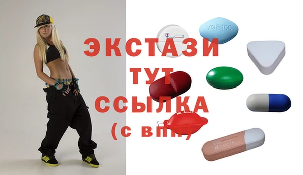 стаф Ельня