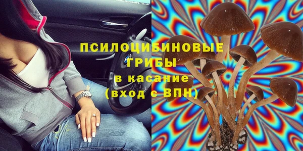 а пвп мука Елизово